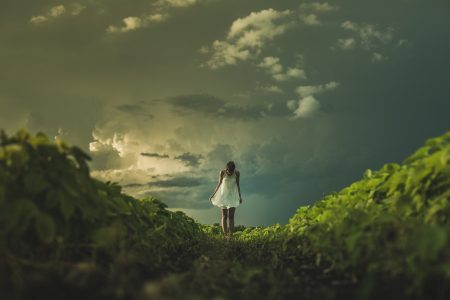 willpower women health stress decisions routine schedule