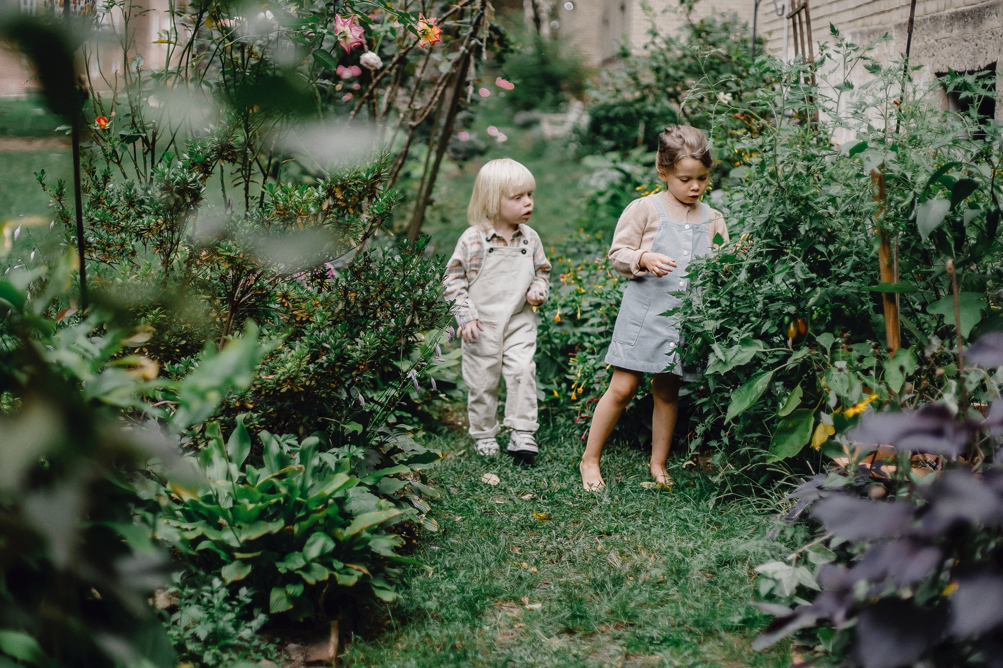 child friendly garden