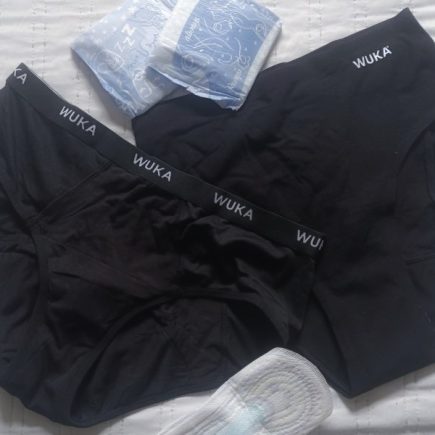 period pants