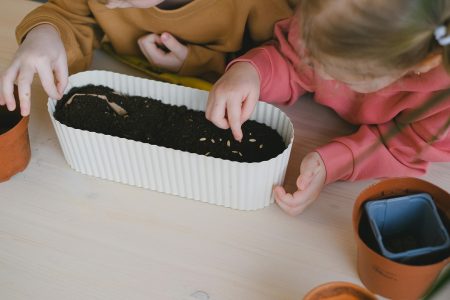 Unique Hobbies For Your Child