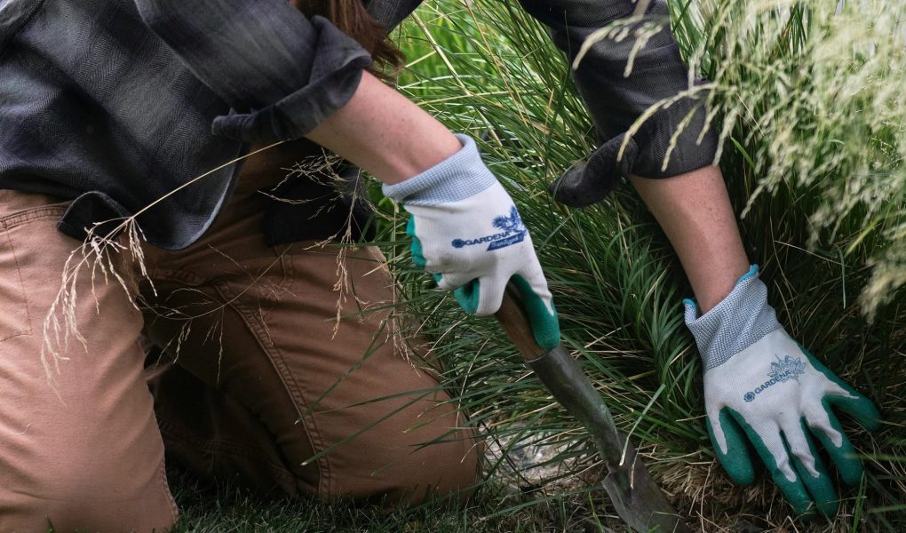 gardening