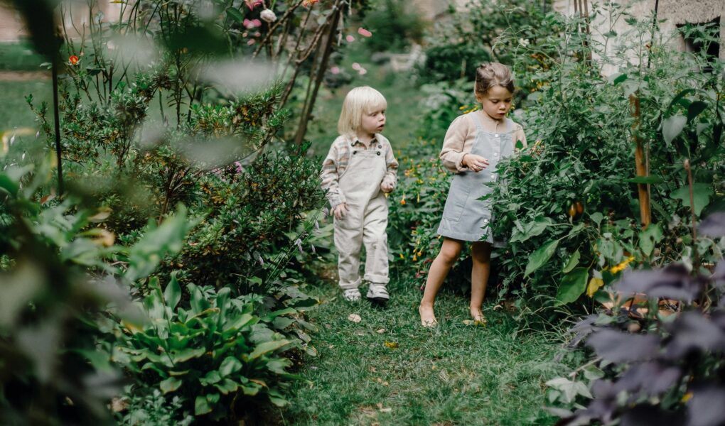 family friendly garden