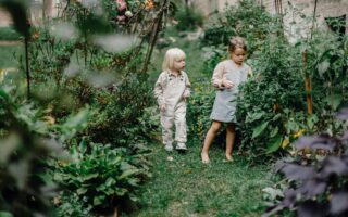 family friendly garden