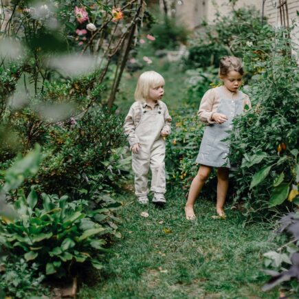 family friendly garden