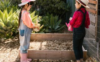 community involvement