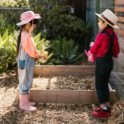 community involvement