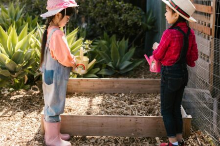 community involvement